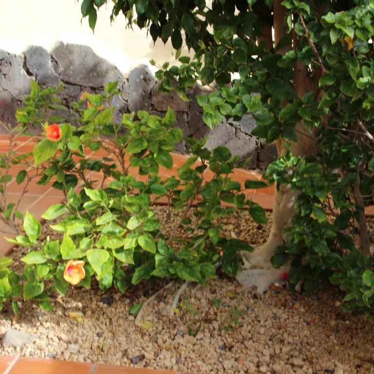 Balcon del Mar en la Costa - Apartamento de 1 dormitorio - 33