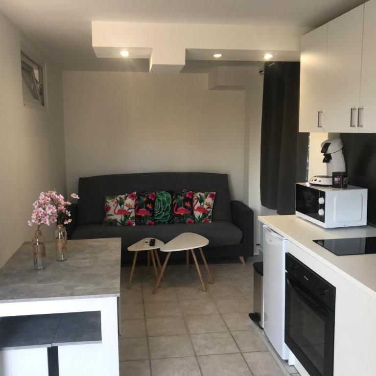 La perle rare - One-Bedroom Apartment - 11