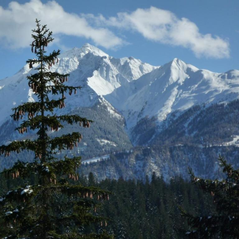 Moutain View - Apartment mit 2 Schlafzimmern - 26