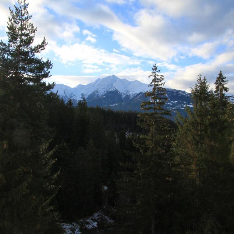 Moutain View - Apartment mit 2 Schlafzimmern - 28