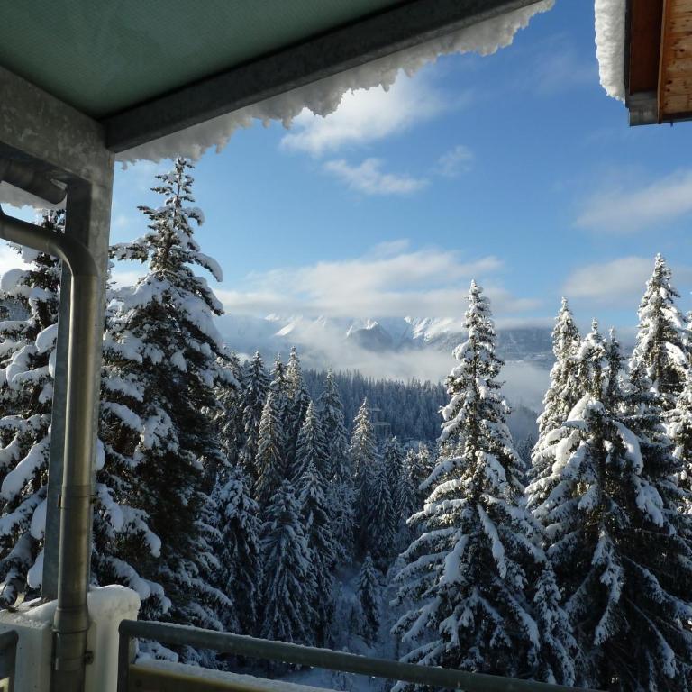 Moutain View - Apartment mit 2 Schlafzimmern - 25