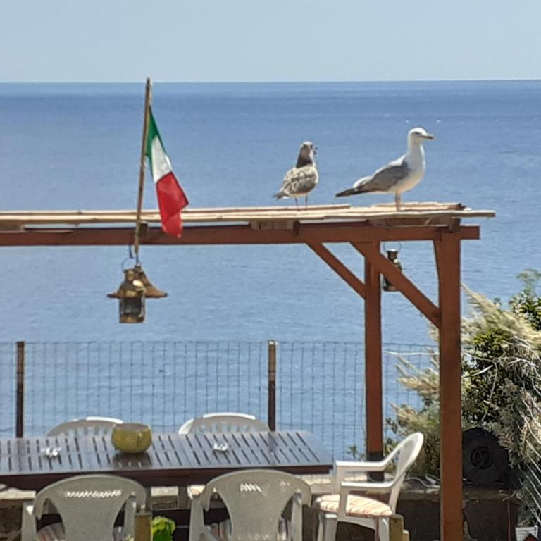 Terrazza sul Mare holidays with experiences - Casa con 2 Camere da Letto - 18