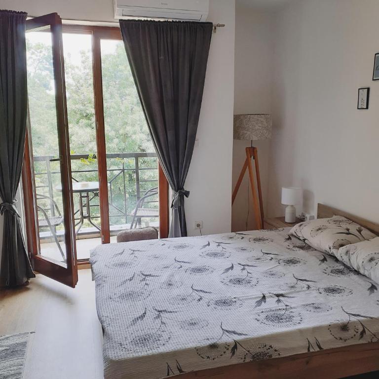 Anilux studio - Studio - 2