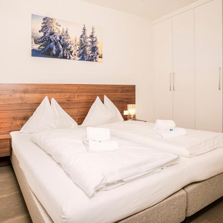 Tauernresidence Radstadt by ALPS RESORTS - Apartment with 1 bedroom & pool - 9