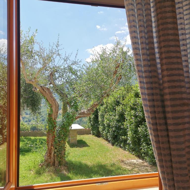 Agriturismo Sole Luna - Appartamento con 1 Camera da Letto (2 Adulti) - 7