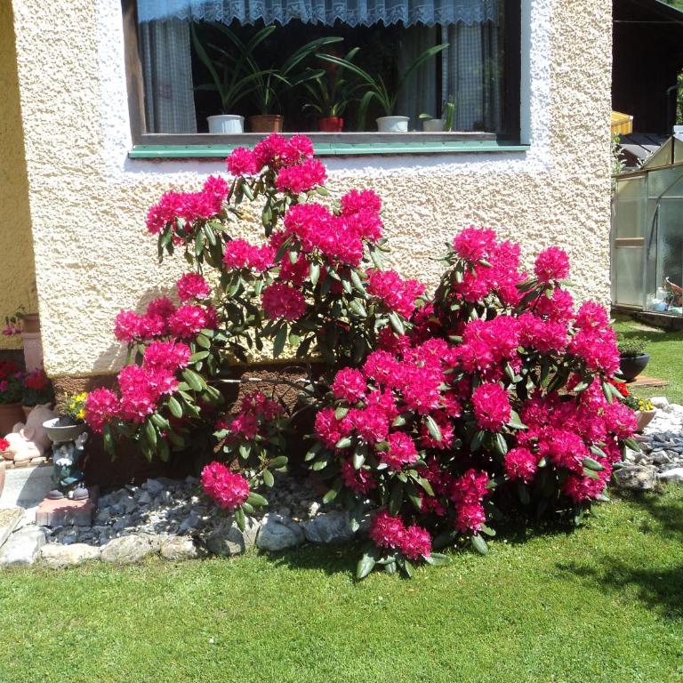 Gondelblick - Apartment mit 2 Schlafzimmern - 4