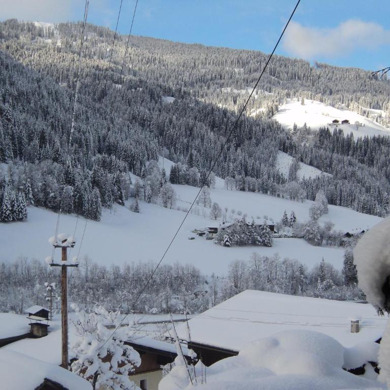 Gondelblick - Apartment mit 2 Schlafzimmern - 3