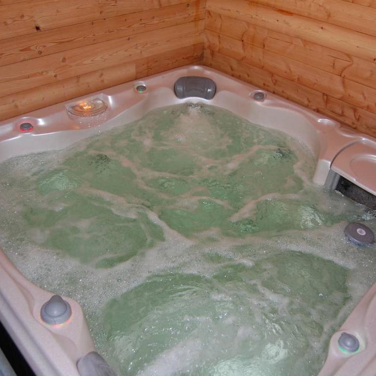 Chalet Alpe d'Huez 1850-Sea and Mountain Pleasure Avec 2 appartements- 1 Appartement 3 Chambres 8 Couchages - 3 Salles d'eau et 1 Appartement 5 Chambres 12 Couchages 5 Salles d'eau - Jacuzzi et Sauna -Pieds des Pistes et Centre - Appartement avec Balcon - 9