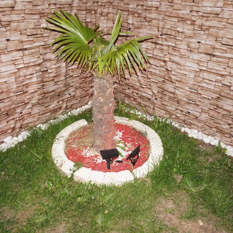 Maison de standing avec jardin à 200m de la plage - Maison 1 Chambre - 4