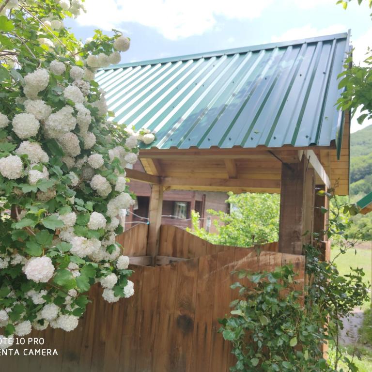 KOLIBA A&A - Apartman - 34
