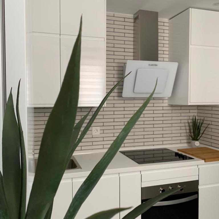 Almadeconil - Apartamento de 1 dormitorio - 7