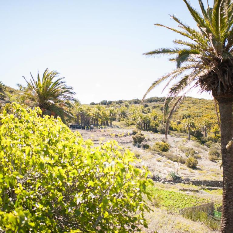 Jardin Las Hayas - Casa de campo de 1 dormitorio (2 adultos) - 16