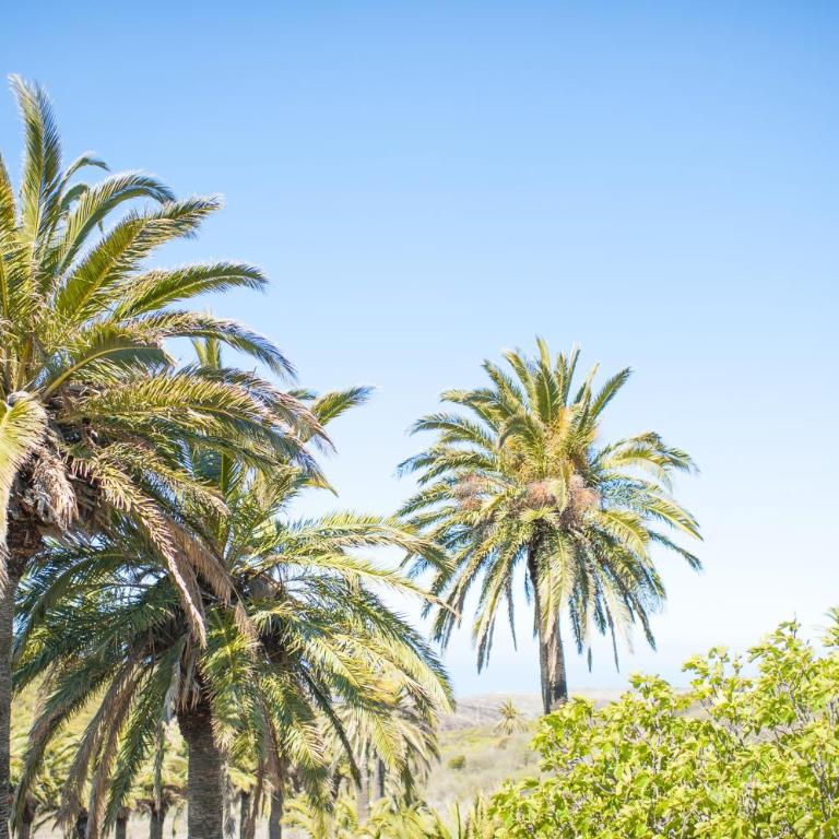Jardin Las Hayas - Casa de campo de 1 dormitorio (2 adultos) - 18