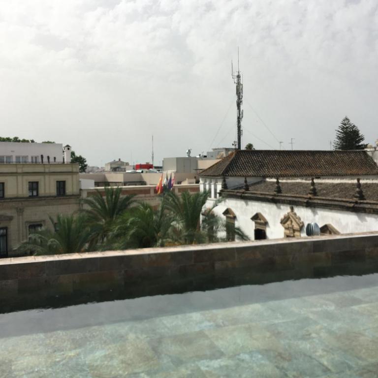 CASA PALACIO en Jerez de la Frontera con piscina privada - Casa de 5 dormitorios - 28