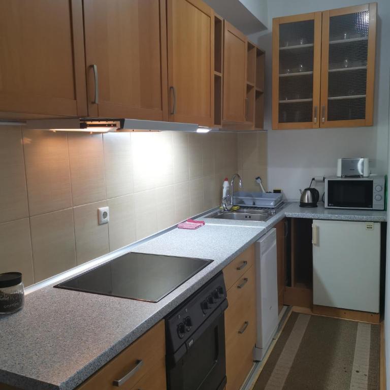 Apartman Banja - Tuzla - Apartman sa Pogledom na Jezero - 9