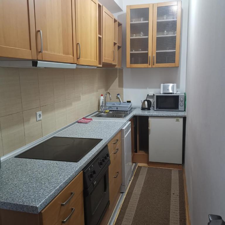 Apartman Banja - Tuzla - Apartman sa Pogledom na Jezero - 10
