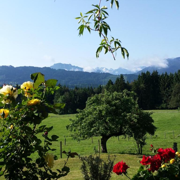 Alpine Lodge Wertach - Apartment mit 2 Schlafzimmern - 25