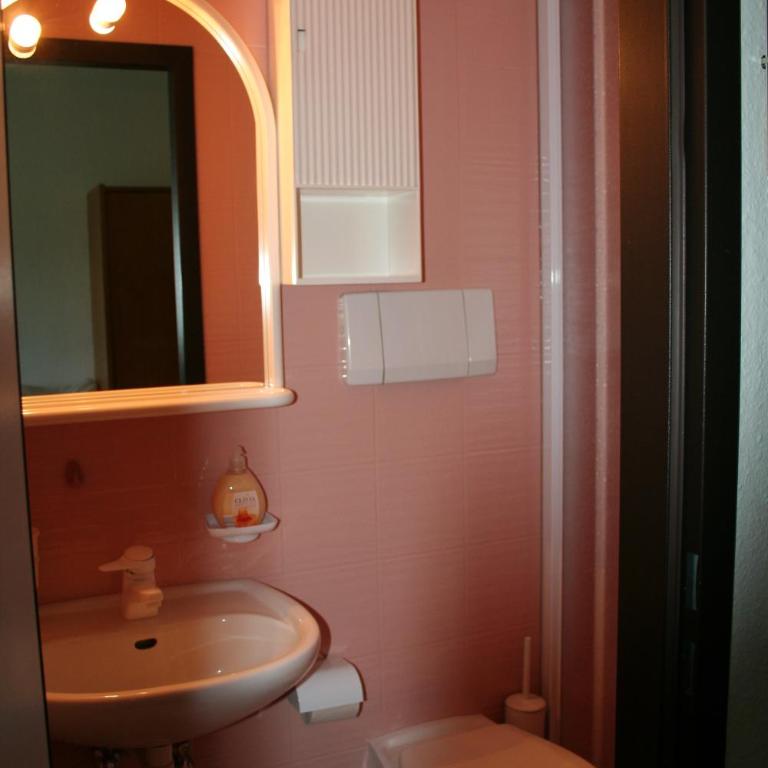 Hotel Gasthof Schweizerhaus - Chambre Double - 1