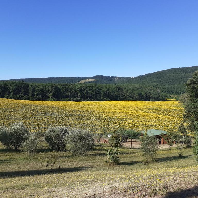 Agriturismo Natura E Salute - Double Room - 1