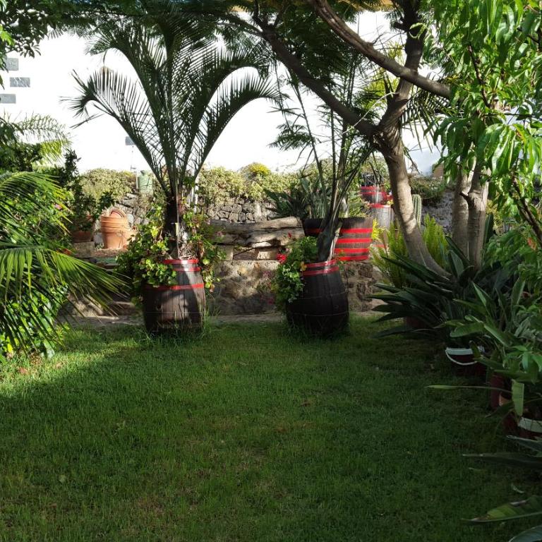 Finca Paraiso Casa Rural Tenerife Ecoturismo - Casa con 1 dormitorio - 17