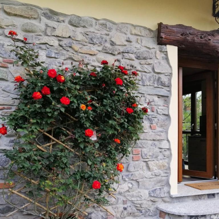 COTTAGE ROSE - Appartamento con 2 Camere da Letto - 7
