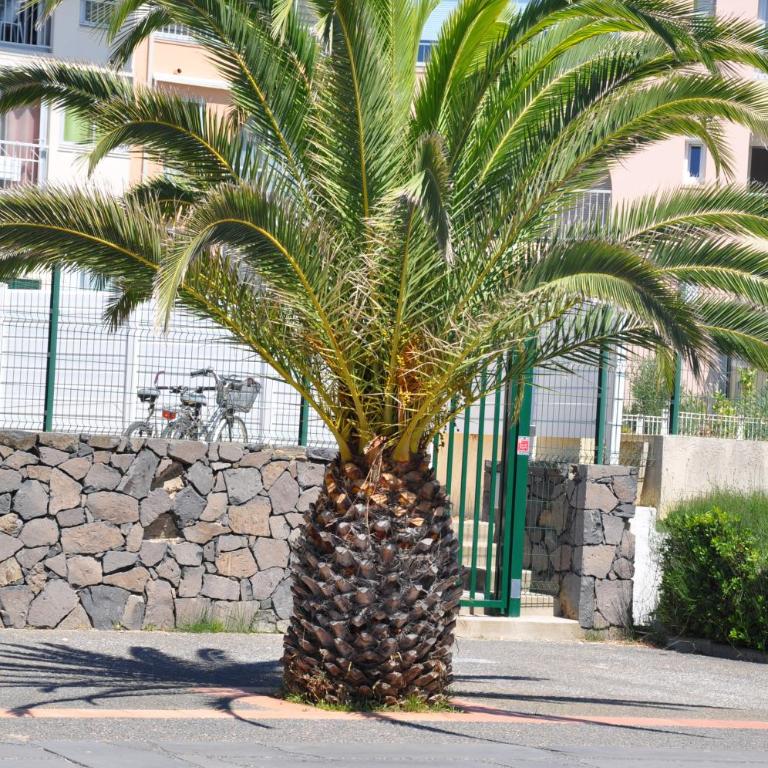 Mandana - Three-Bedroom Apartment - 73