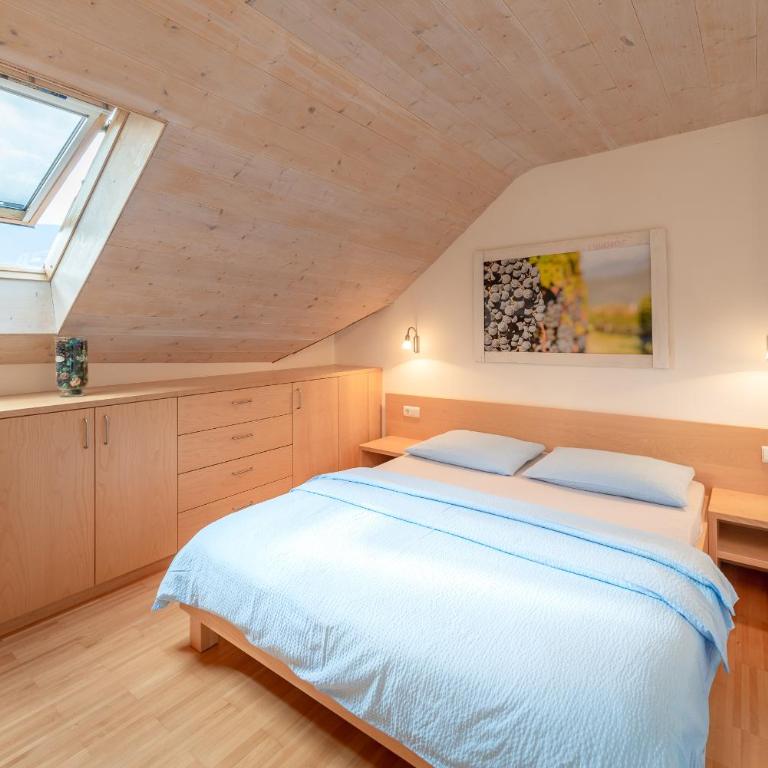 Haus Piger - Apartamento con vistas a las montañas - 6