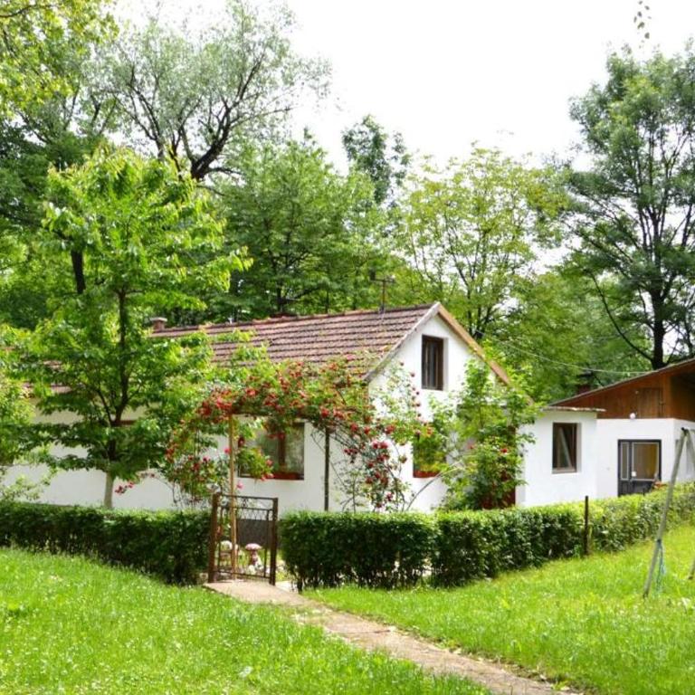 Una Rosa Hostel - 4-Bed Mixed Dormitory Room - 9