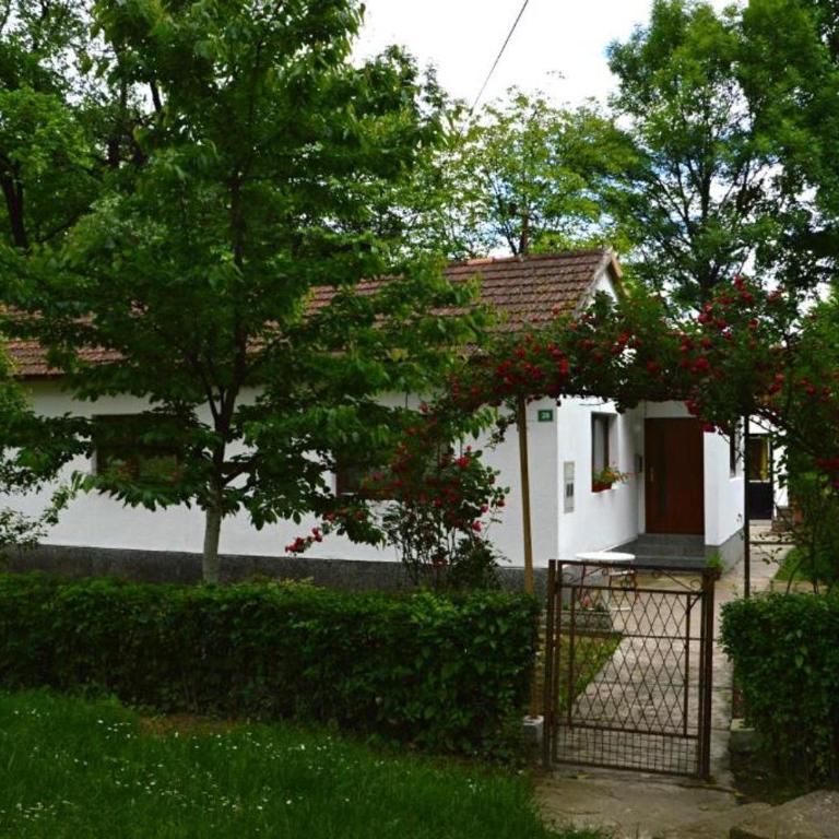 Una Rosa Hostel - 4-Bed Mixed Dormitory Room - 15