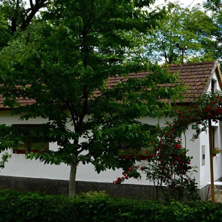 Una Rosa Hostel - 4-Bed Mixed Dormitory Room - 21