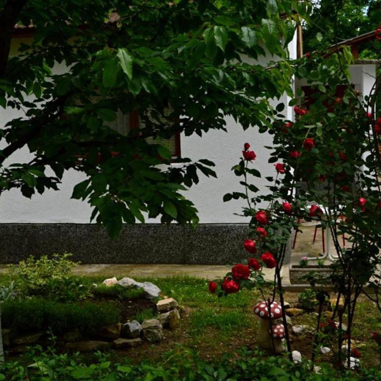 Una Rosa Hostel - 4-Bed Mixed Dormitory Room - 23