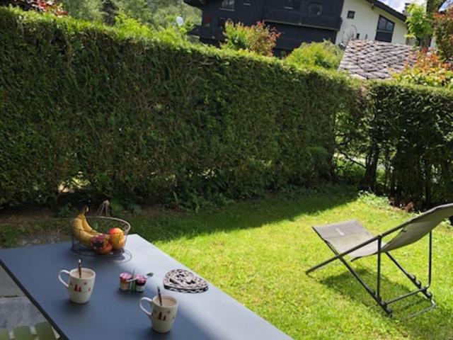 Studio au calme avec jardin et vue Mont-Blanc - Apartamento con vistas a las montañas - 13