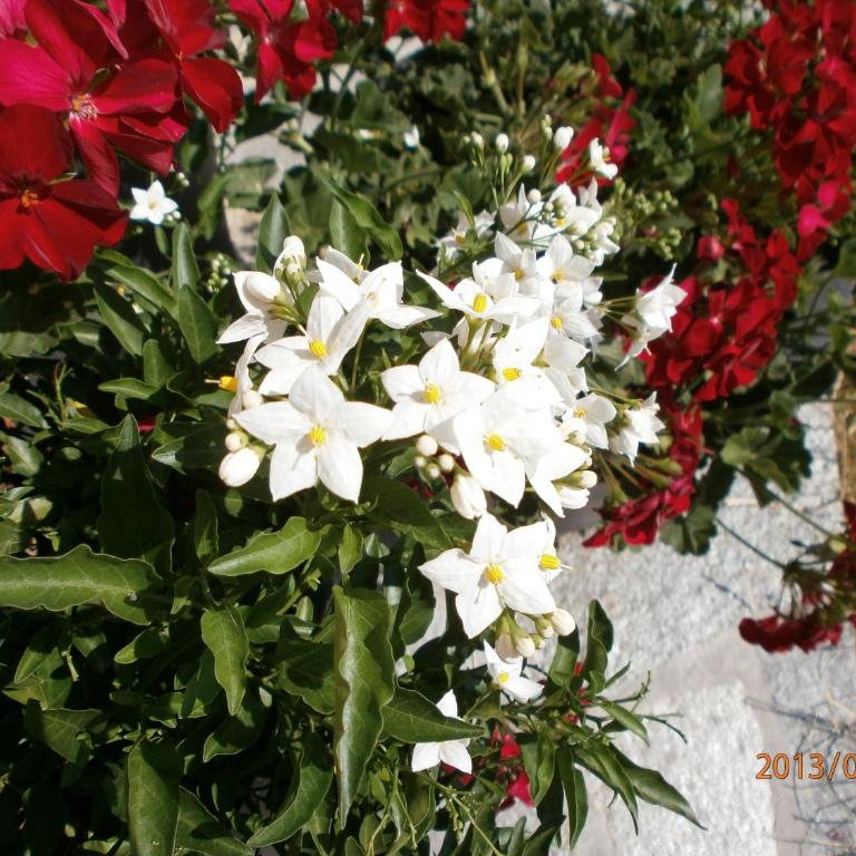 Garni Hattlerhof B&B - Camera Matrimoniale con Balcone - 16