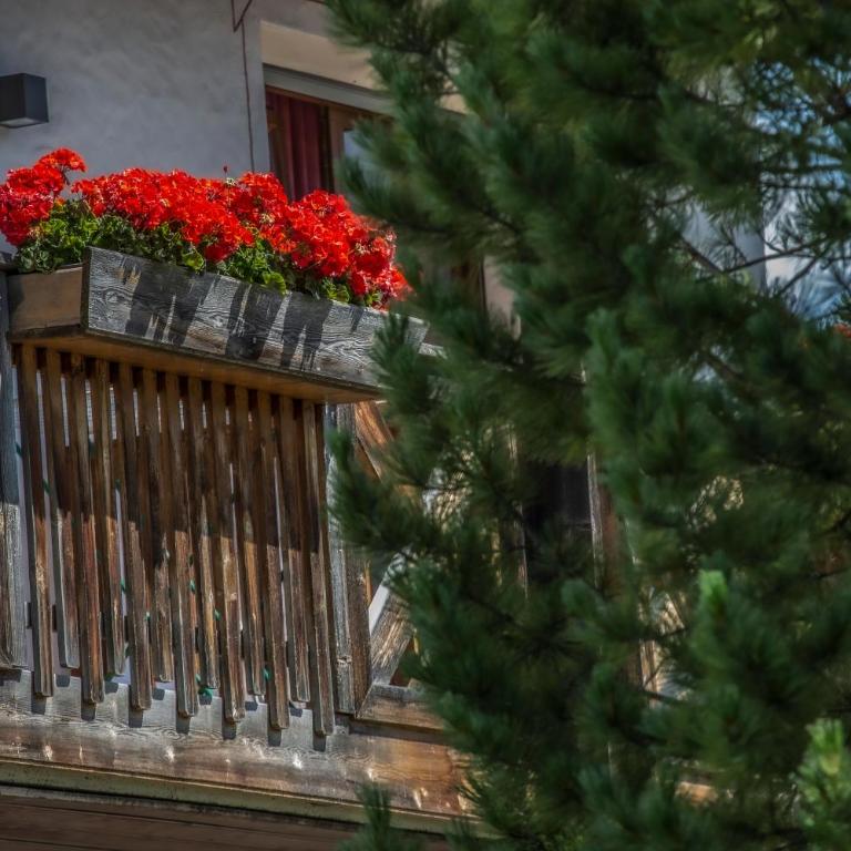 Residence Sas Vanna - Monolocale con Balcone - 12