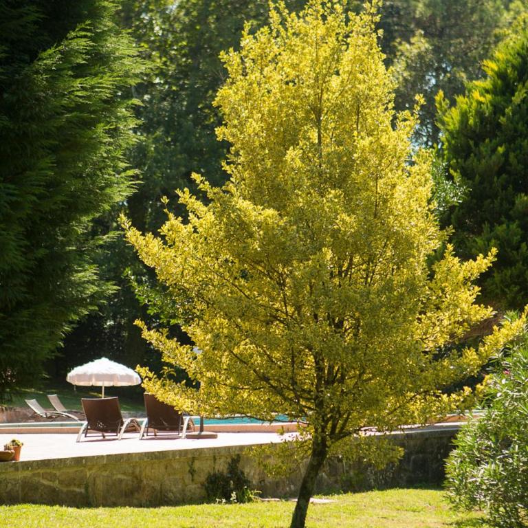 Pedreiras Cottage Rias Baixas - One-Bedroom House - 9