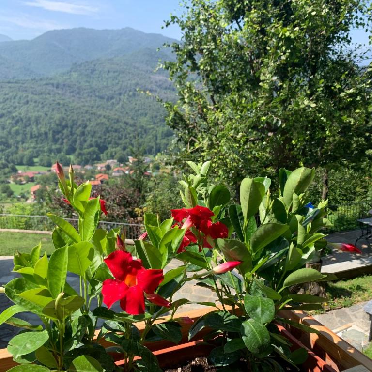 Chalet Alma - Chalet con 2 Camere da Letto - 27