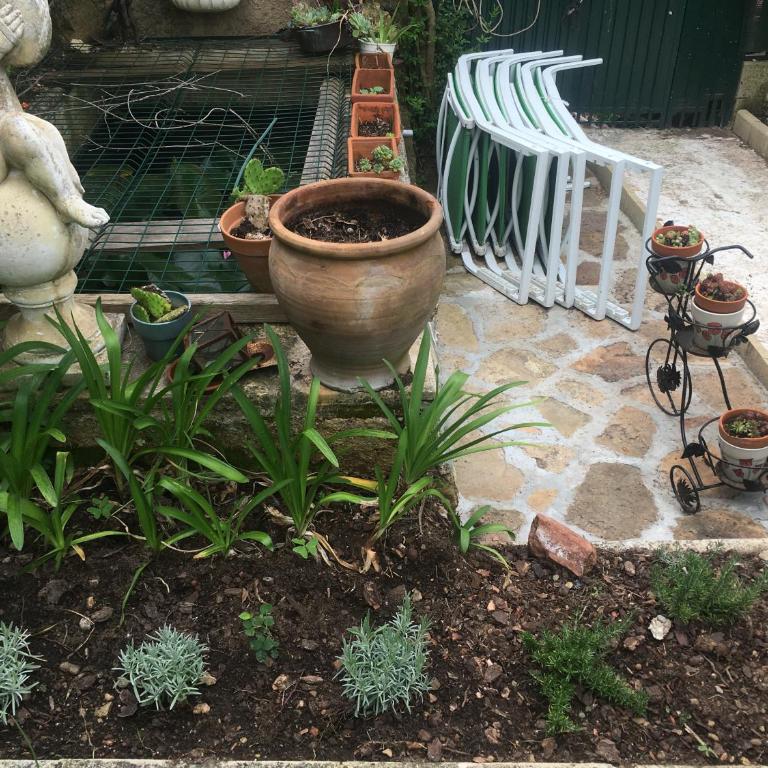 Bastide Provencal - Villa - 23