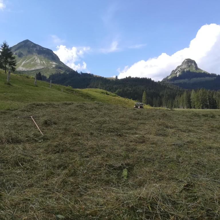 Hinterlammerain - Chalet (6-8 Erwachsene) - 19