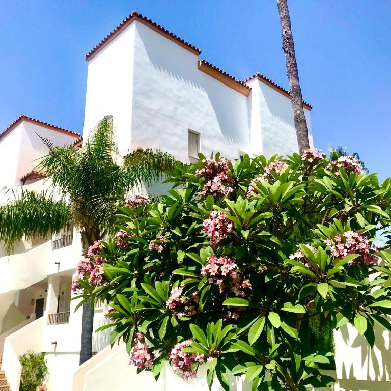 apartamento en Benalmadena - Apartamento - 25