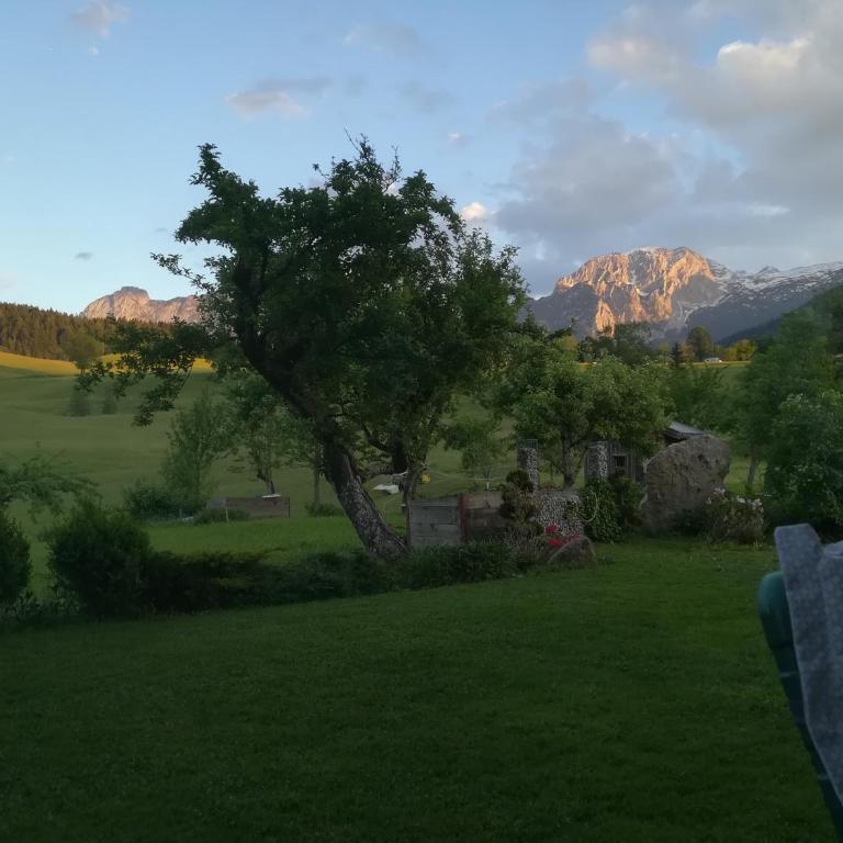 Hinterlammerain - Chalet (6-8 Erwachsene) - 10