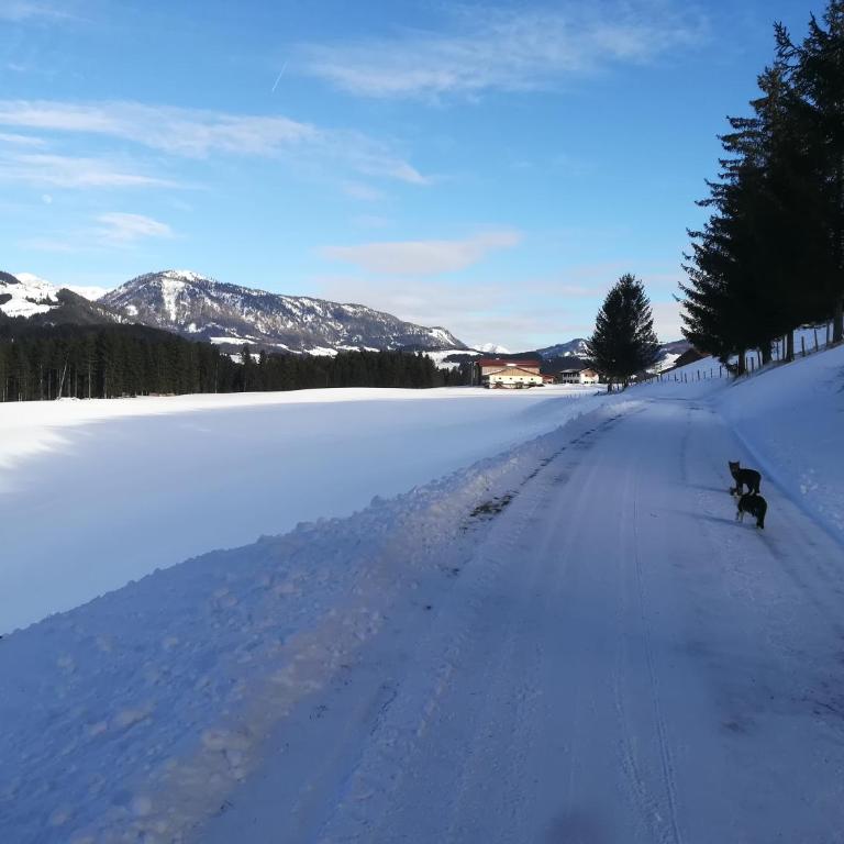 Hinterlammerain - Chalet (6-8 Erwachsene) - 13