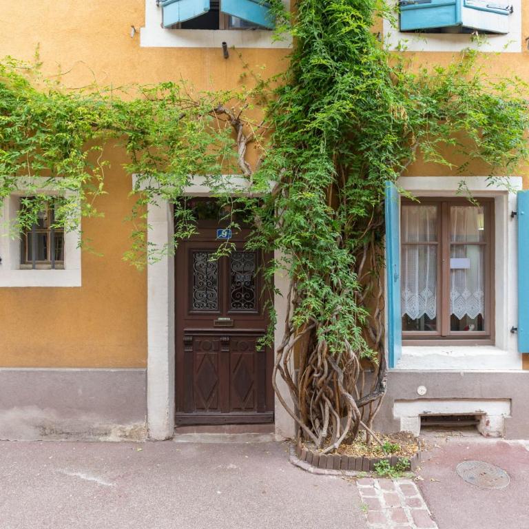 Travel Homes -The Cigogne, quiet & heart of Colmar - Appartamento - 1