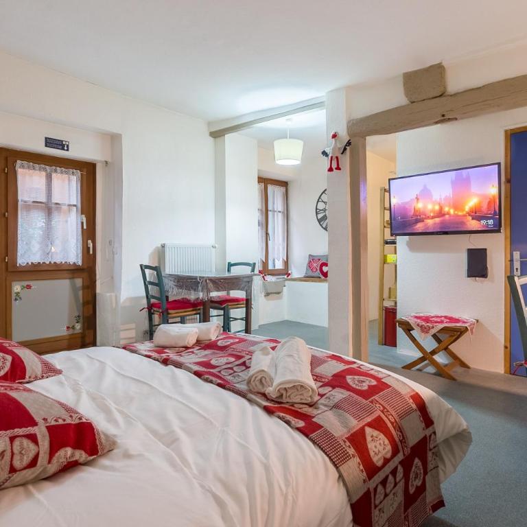 Travel Homes -The Cigogne, quiet & heart of Colmar - Appartamento - 9