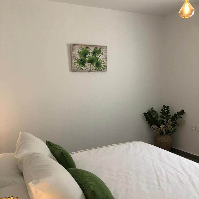 Villas Santa Ana - Villa de 1 dormitorio - 2