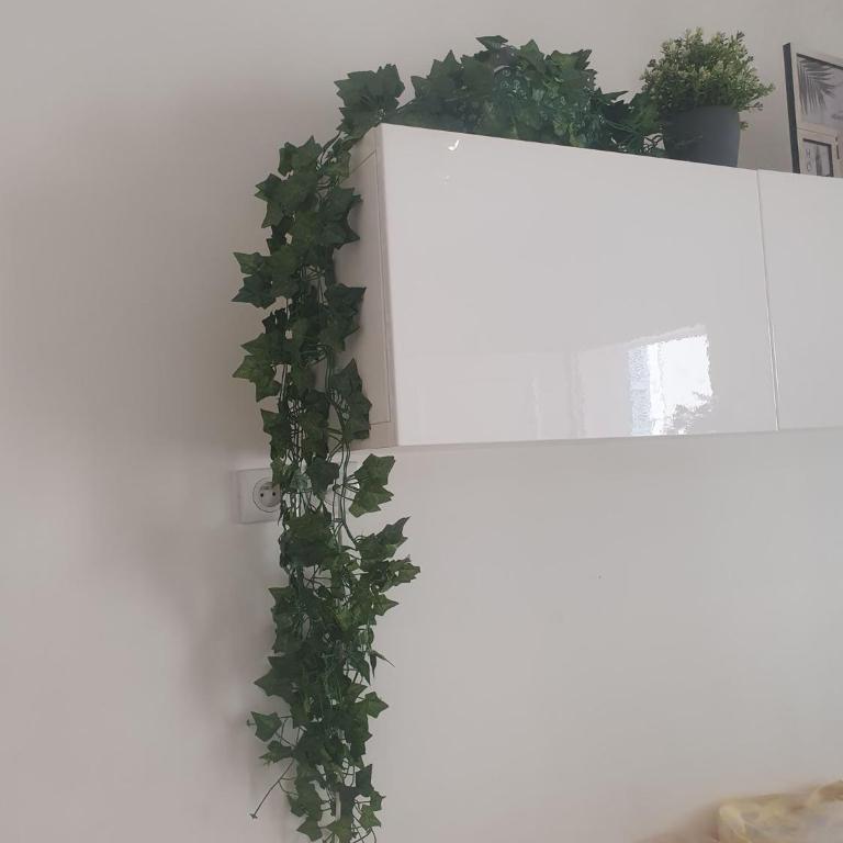 Studio Charles de Gaulle - Vieux Port - Apartamento Estudio - 13