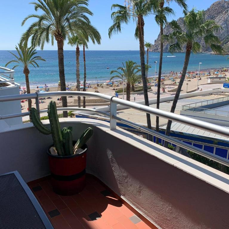 SERVICE APART LAZARO- Apartamentos Aguamarina 13-B - One-Bedroom Apartment - 5