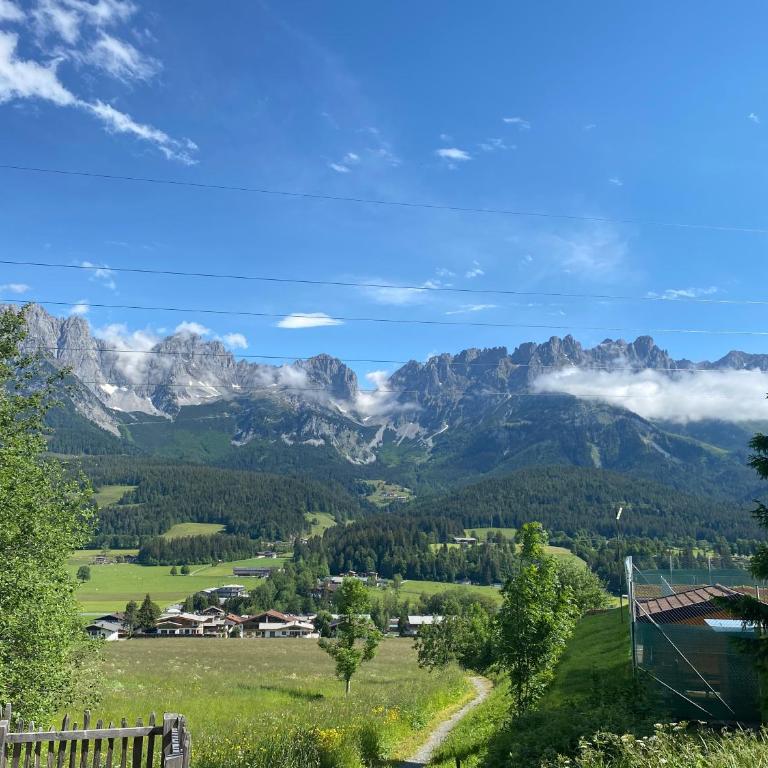 Berghof Haselsberger Appartements - Apartamento con vistas a las montañas - 16