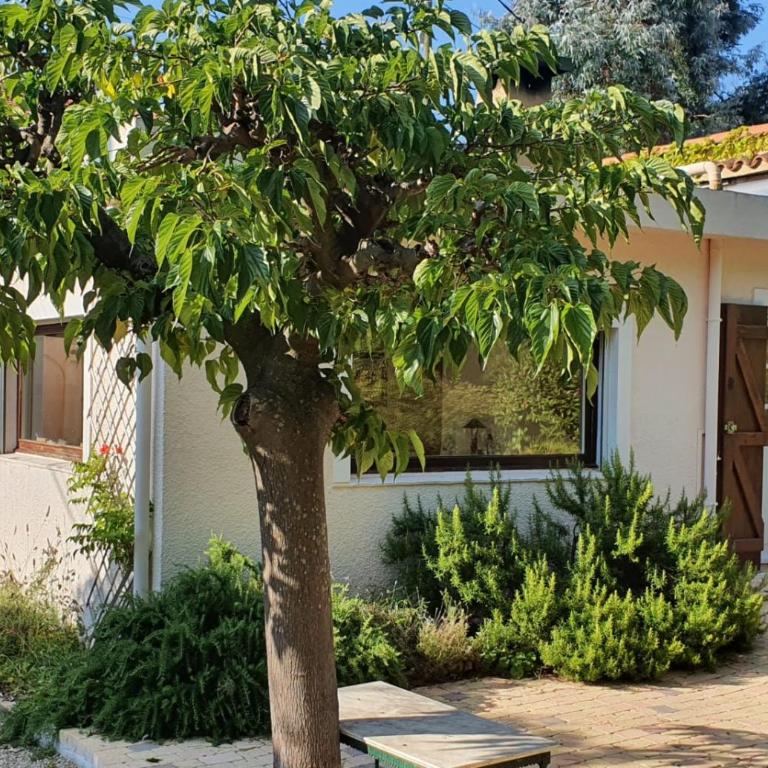 Haus mit Garten über der Bucht von Cannes - Maison 2 Chambres - 2