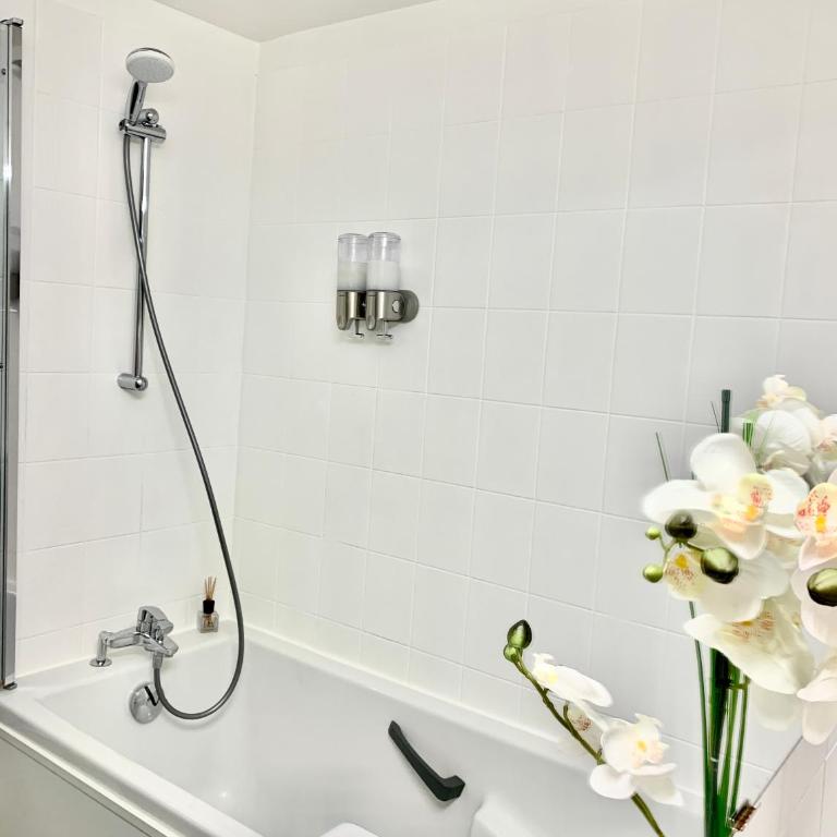 L'appart Moulin des Thermes Metz - Appartement 1 Chambre - 15