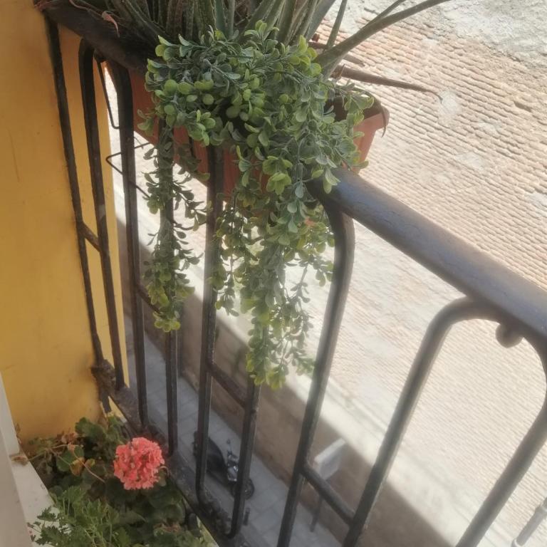 Apartamento en el Rastro - Apartment with Balcony - 4